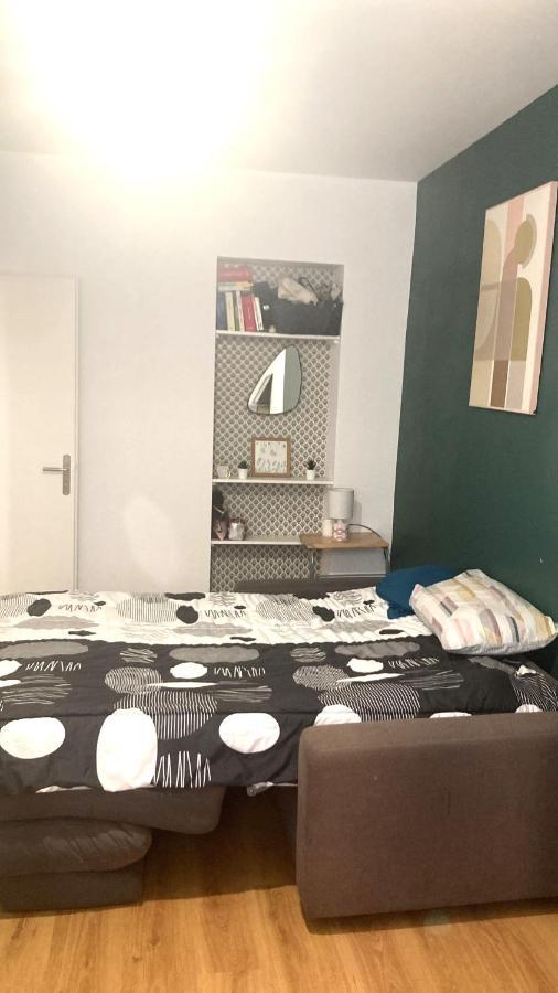 Chambre En Appartement Haussmannien En Centre Ville Saint-Etienne  Esterno foto